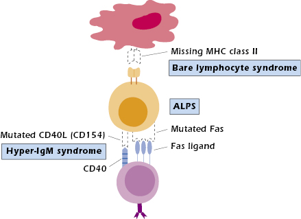 c18-fig-0003