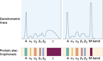 c19-fig-0005