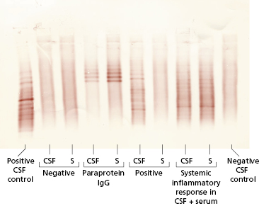 c19-fig-0007