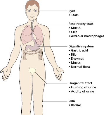 c2-fig-0001