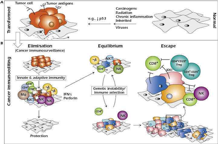 c20-fig-0001