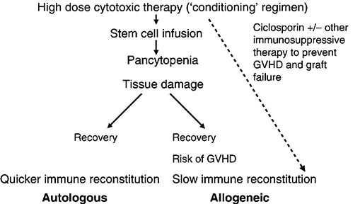 c21-fig-0001