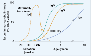 c3-fig-0003