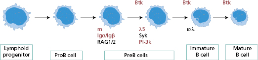 c3-fig-0005