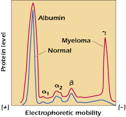 c5-fig-0001