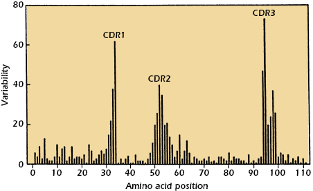 c5-fig-0004