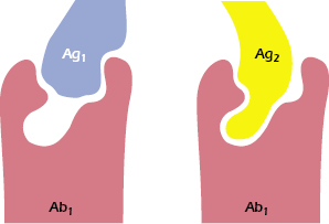 c5-fig-0006