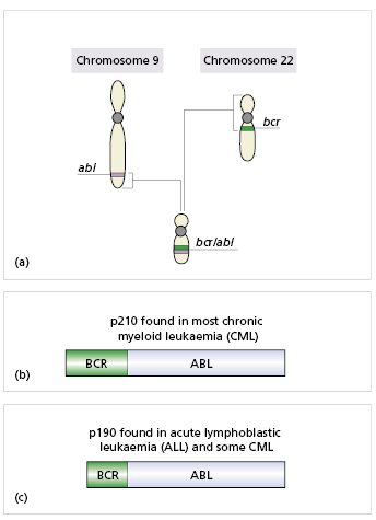 c6-fig-0001