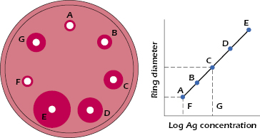 c6-fig-0005