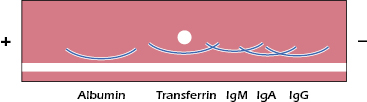 c6-fig-0006