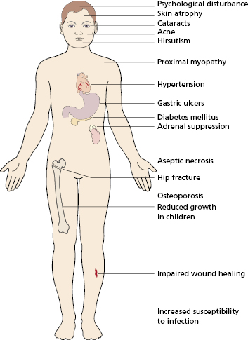 c7-fig-0002