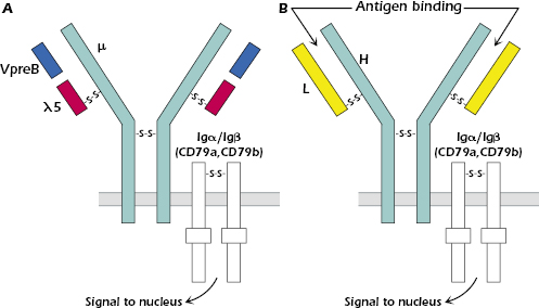 c8-fig-0002