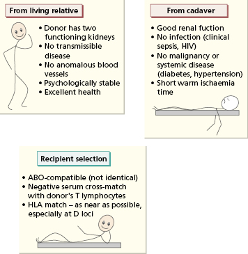 c8-fig-0003