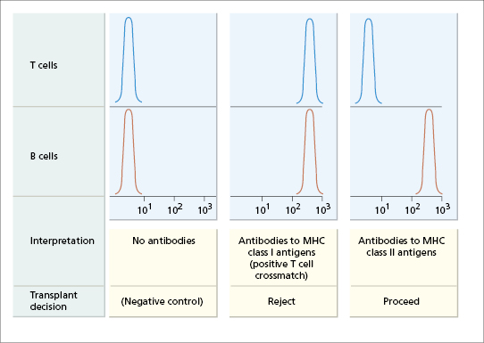 c8-fig-0004