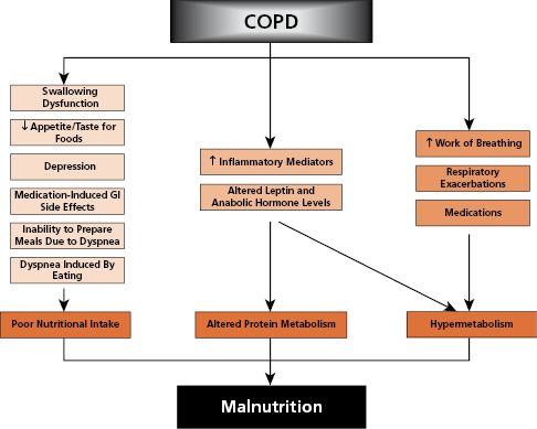 c9-fig-0001