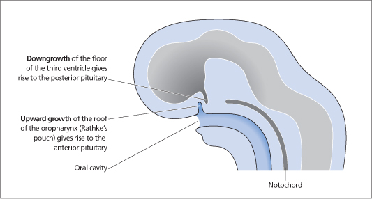 ch11-fig11.3.jpg