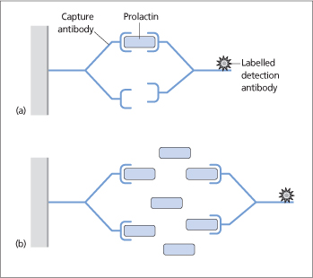 ch12-fig12.2.jpg