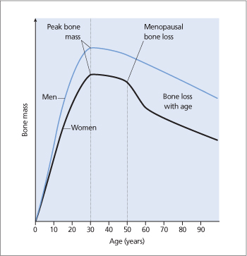 ch27-fig27.2.jpg