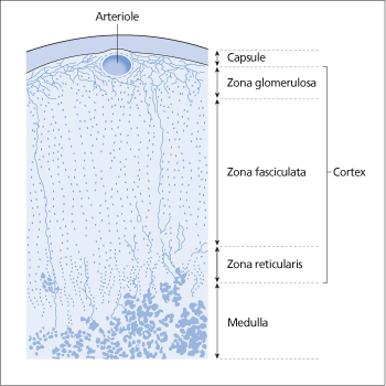 ch5-fig5.2.jpg