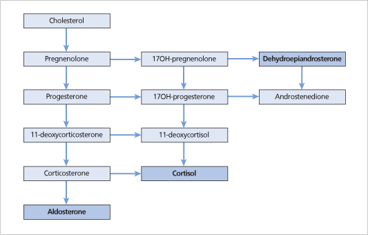 ch5-fig5.3.jpg