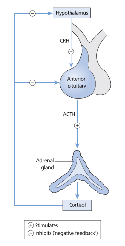 ch5-fig5.4.jpg