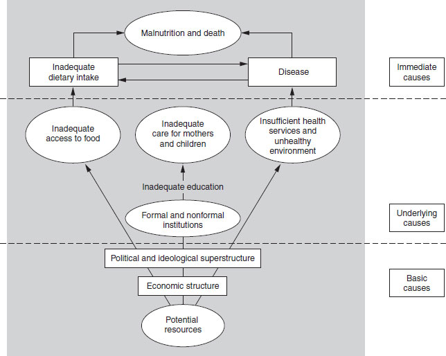 ppt-introduction-to-public-health-nutrition-powerpoint-presentation