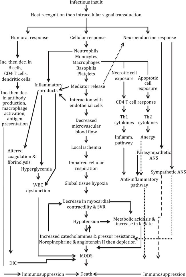 Pathophysiology Of Shock Flow Chart