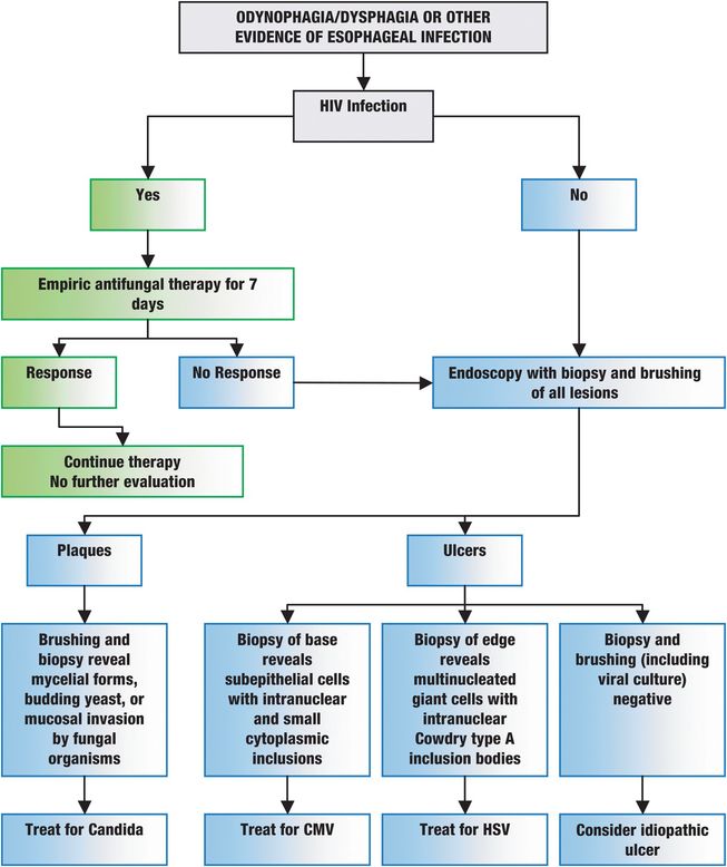 treatment of esophageal candidiasis in hiv positive patients