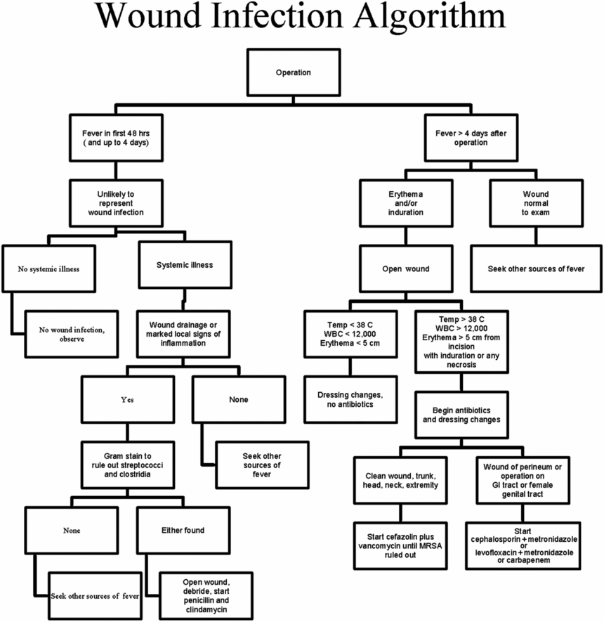 Postoperative Wound Infections Oncohema Key