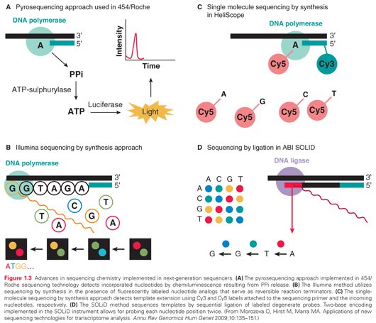 The Cancer Genome Oncohema Key