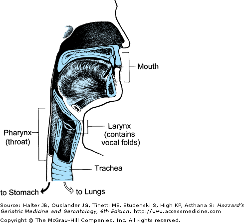 Disorders Of Swallowing | Oncohema Key