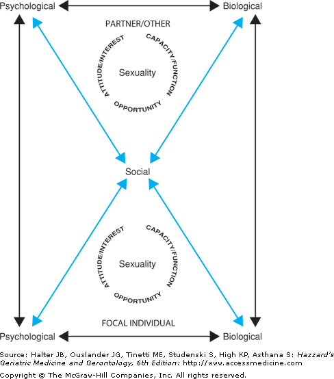 Sexuality Sexual Function and the Aging Woman Oncohema Key