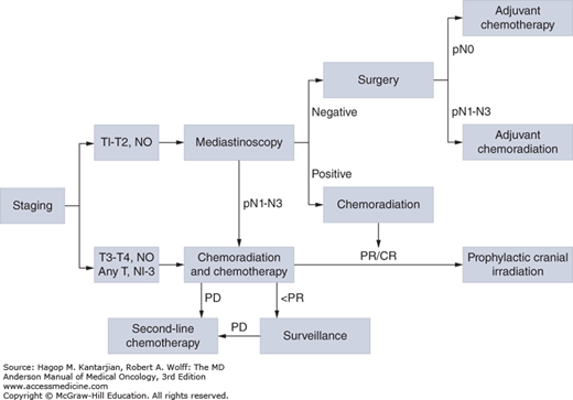 Small Cell Carcinoma of the Lung | Oncohema Key