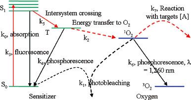 Photodynamic Therapy | Oncohema Key