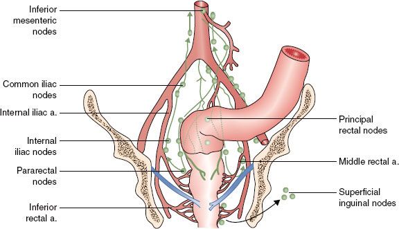 Internal node