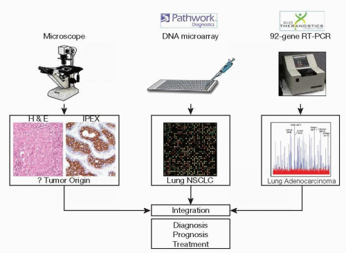 Looking Ahead: New Paths to Lung Protection