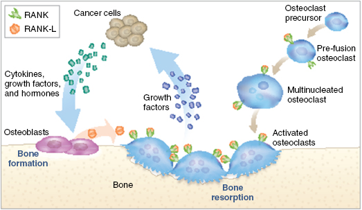 web_c136-fig-0001