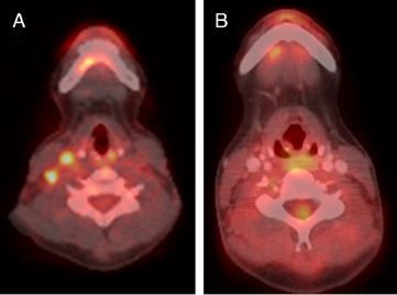 web_c63-fig-0001