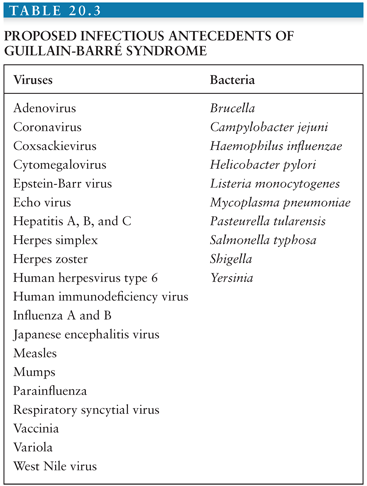 Guillain Barre Syndrome Oncohema Key