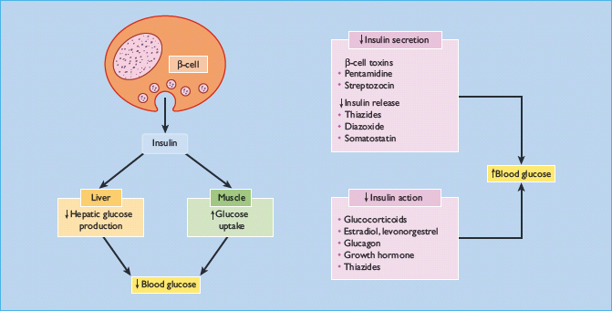 drug induced diabetes symptoms