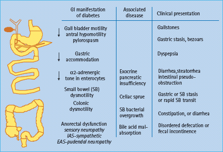 Diabetes-Related Dysfunction of the Small Intestine and the Colon: Focus on Motility