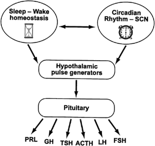 Circadian Rhythms Oncohema Key 