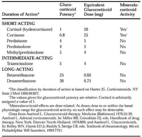 prednisone half life