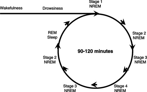 8. SLEEP | Oncohema Key