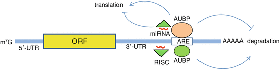 A319527_1_En_11_Fig2_HTML.gif