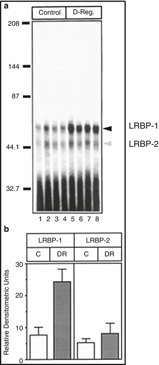 A319527_1_En_4_Fig2_HTML.gif