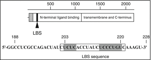 A319527_1_En_4_Fig3_HTML.gif