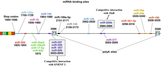 A319527_1_En_8_Fig3_HTML.gif