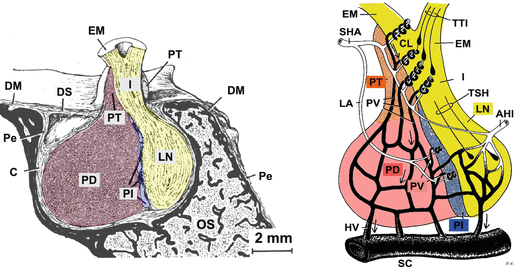 A328729_1_En_10_Fig2_HTML.gif