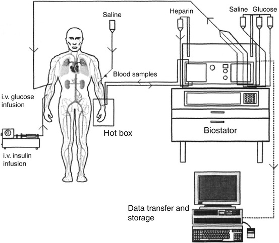 A309434_1_En_1_Fig4_HTML.jpg